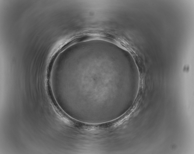 X0000091360293200708101425