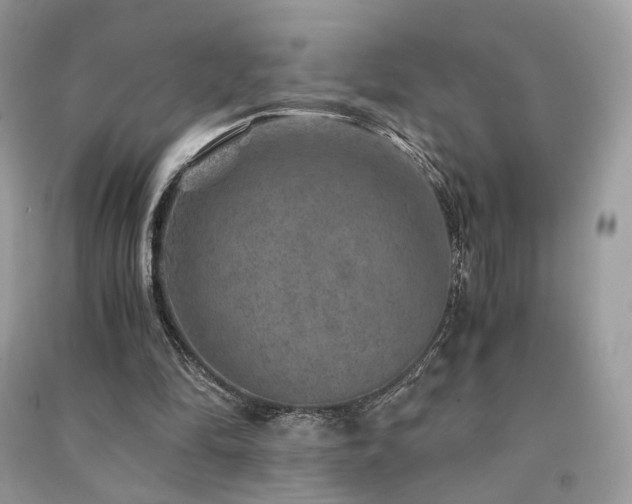 X0000091360294200708101425