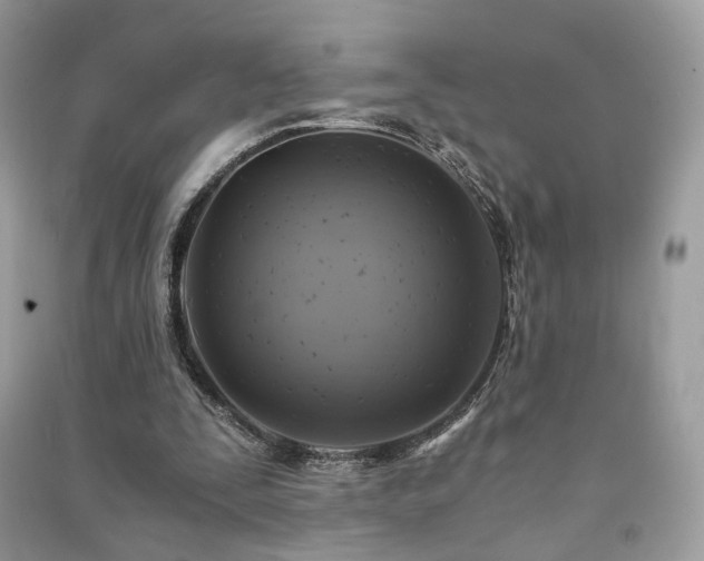X0000091360295200708101425