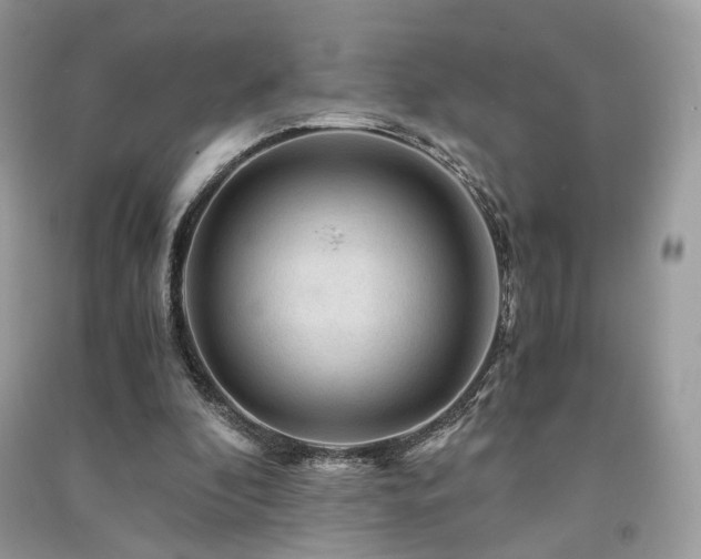 X0000091360296200708101425