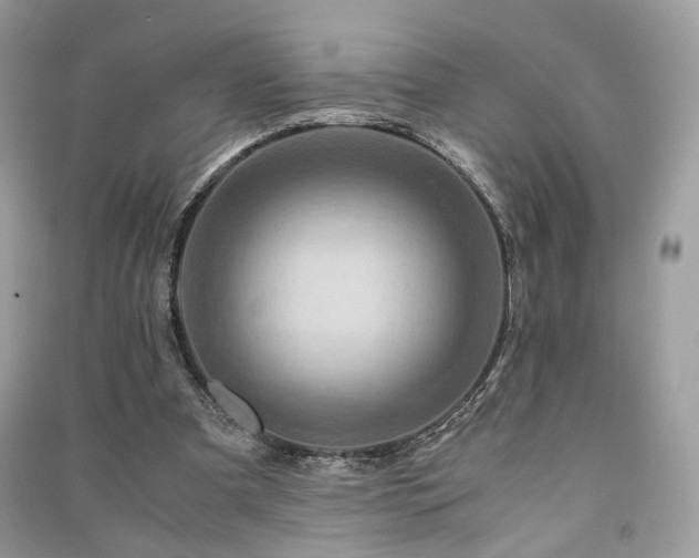 X0000091360297200708101425