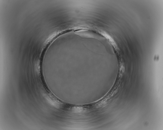 X0000091360298200708101425