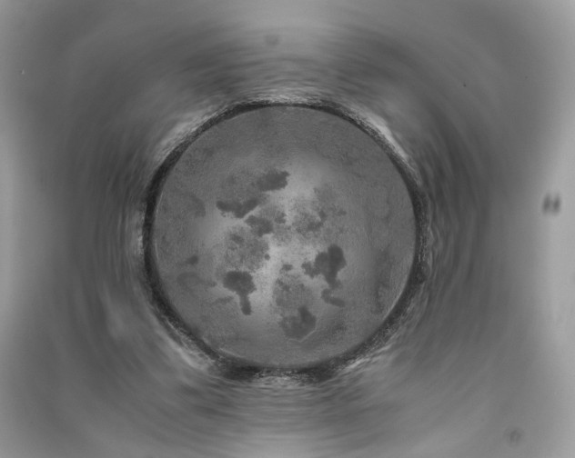 X0000091360299200708101425