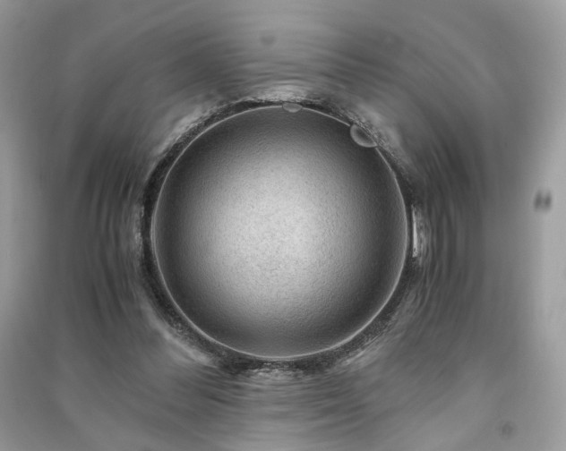 X0000091360300200708101425