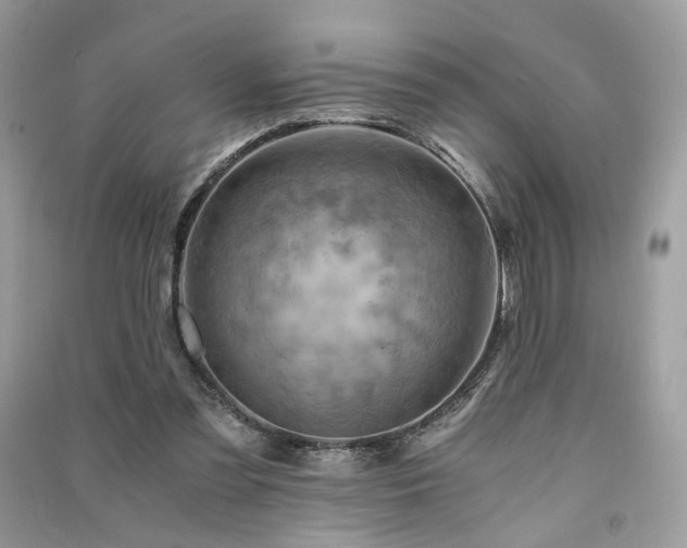 X0000091360301200708101425