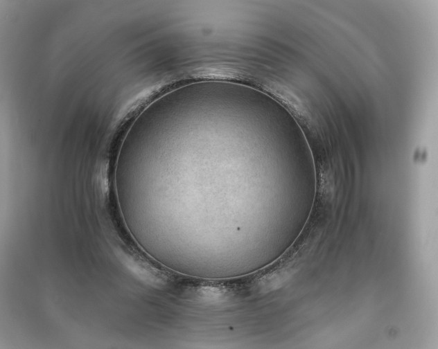 X0000091360302200708101425