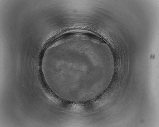 X0000091360303200708101425