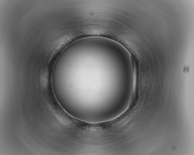 X0000091360304200708101425