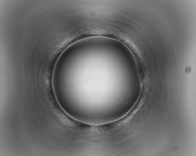 X0000091360305200708101425