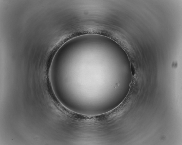 X0000091360306200708101425