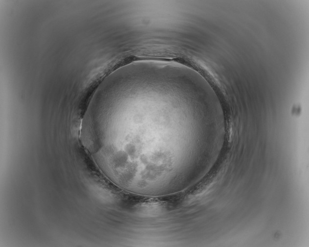 X0000091360307200708101425