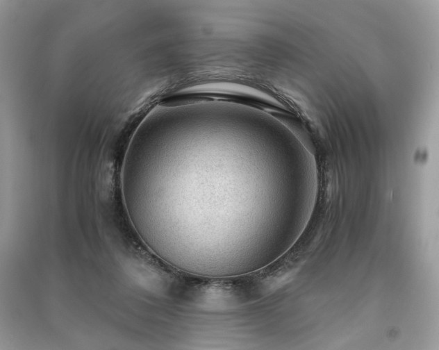 X0000091360308200708101425