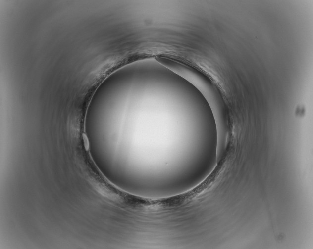 X0000091360309200708101425