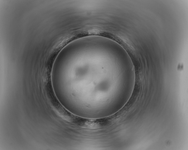 X0000091360311200708101425