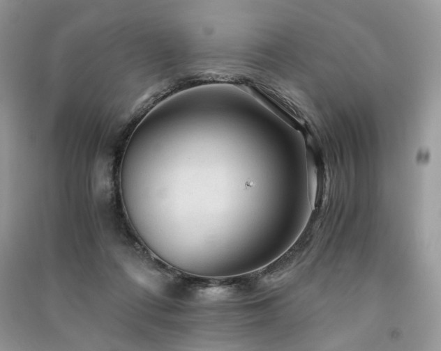 X0000091360312200708101425