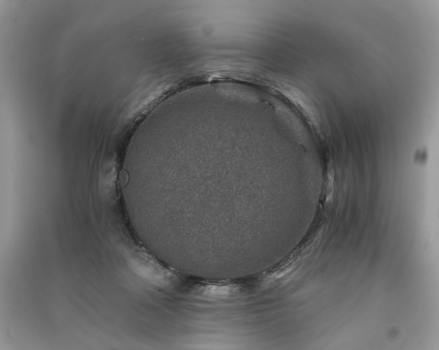 X0000091360314200708101425