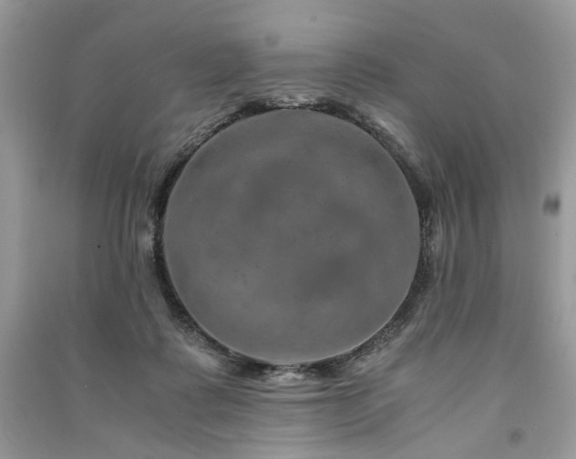 X0000091360315200708101425