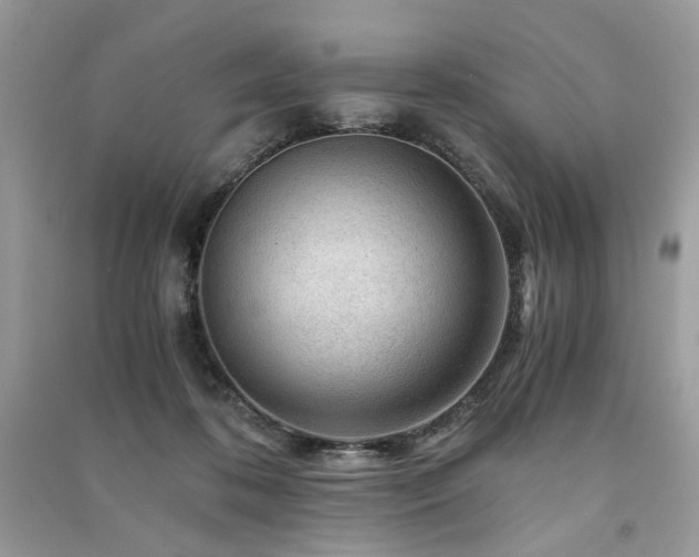 X0000091360316200708101425