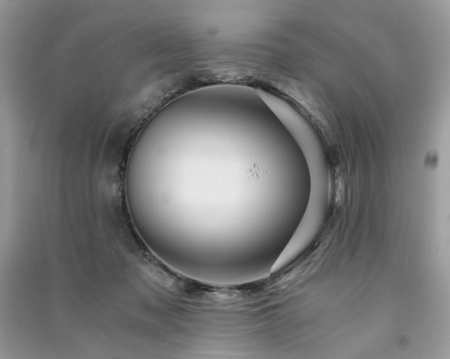 X0000091360317200708101425