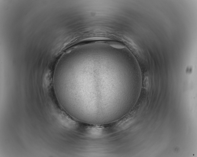 X0000091360318200708101425