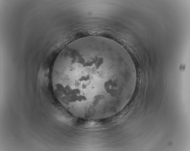 X0000091360319200708101425