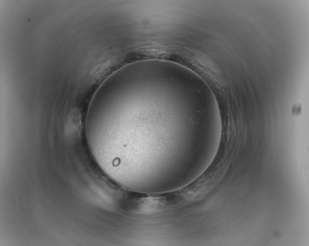 X0000091360320200708101425