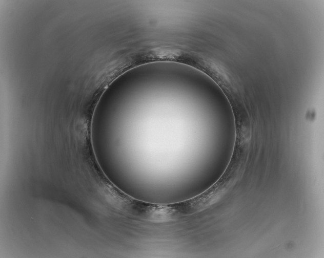 X0000091360321200708101425