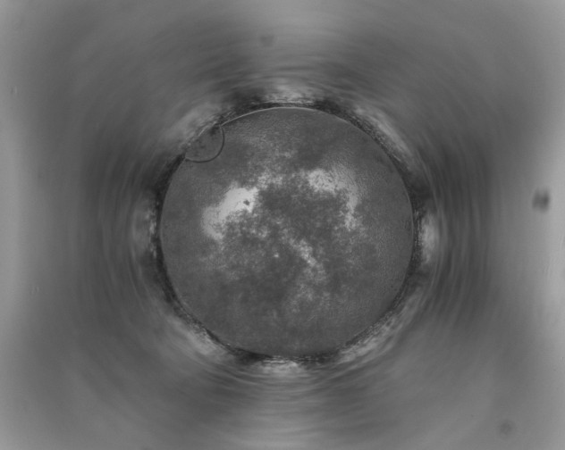X0000091360322200708101425