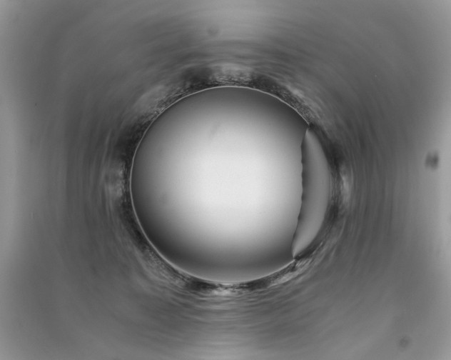 X0000091360323200708101424