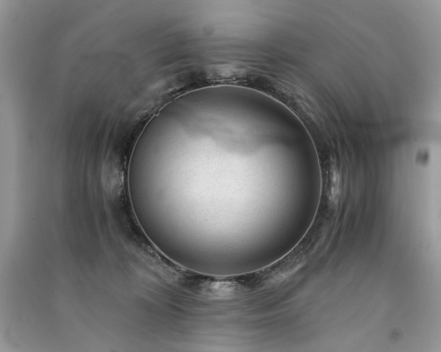 X0000091360324200708101424