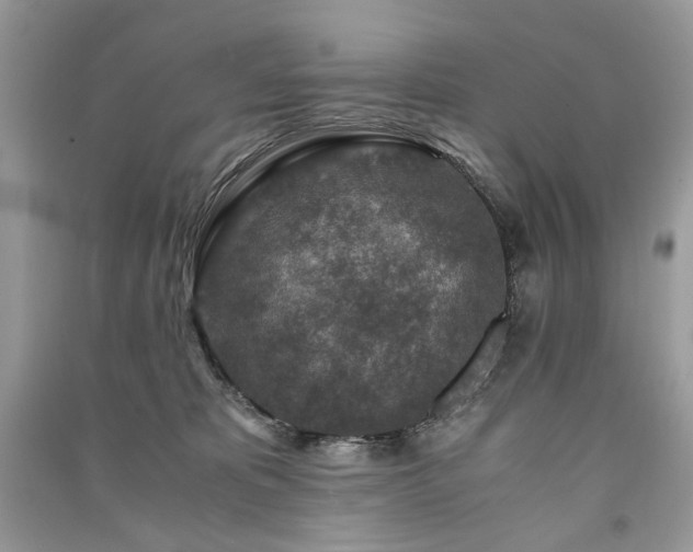 X0000091360325200708101424