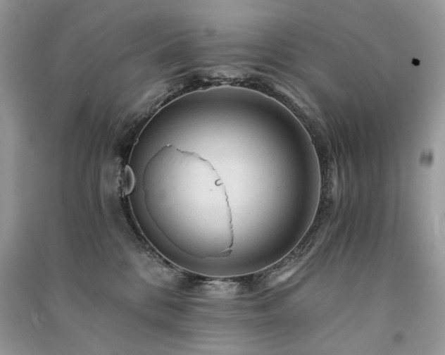X0000091360328200708101424