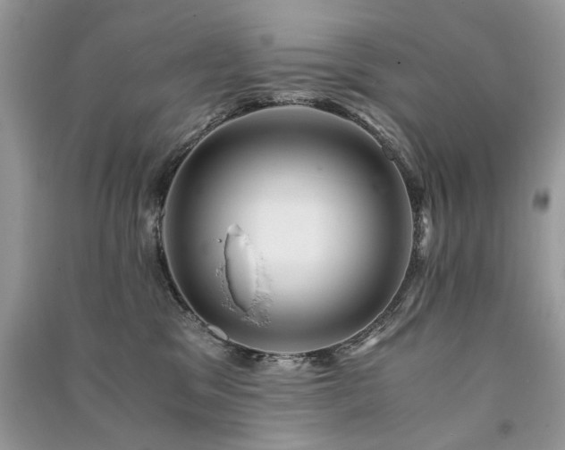 X0000091360329200708101424