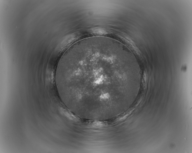 X0000091360330200708101424