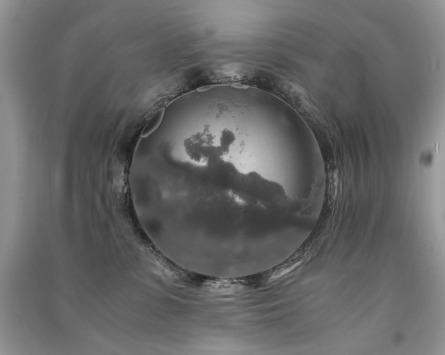 X0000091360331200708101424