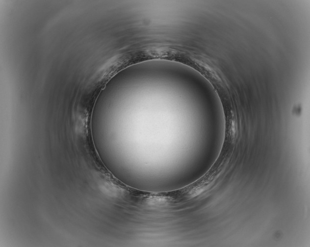 X0000091360332200708101424