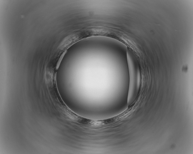 X0000091360333200708101424