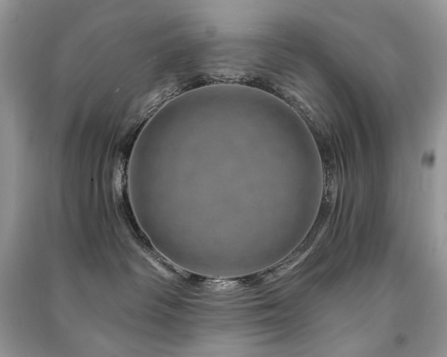 X0000091360334200708101424