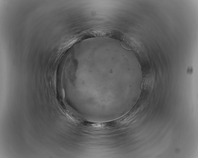 X0000091360335200708101424