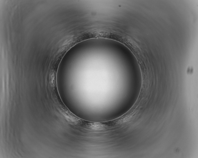 X0000091360336200708101424