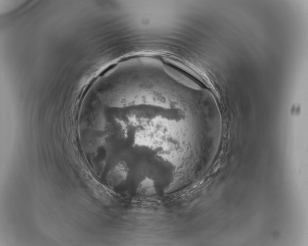 X0000091360337200708101424