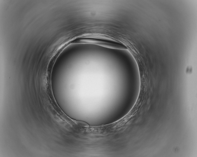 X0000091360338200708101424