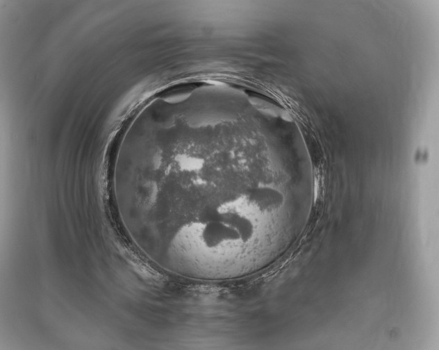 X0000091360339200708101424