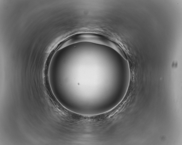 X0000091360340200708101424