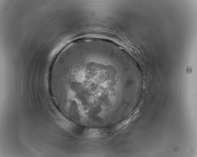 X0000091360341200708101424