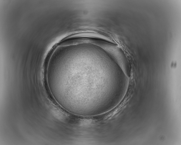X0000091360342200708101424