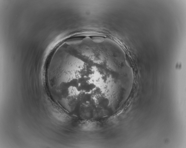 X0000091360343200708101424