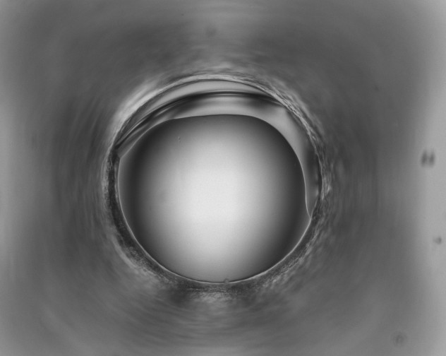 X0000091360344200708101424