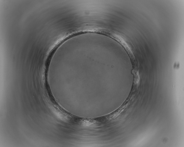 X0000091360346200708101424