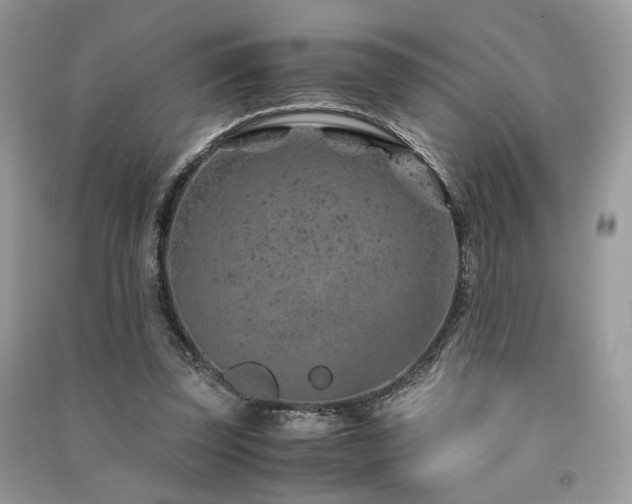 X0000091360347200708101424